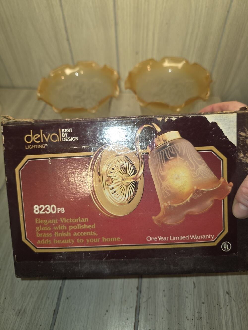 Vtg Delval Light Wall Lamp Set Of 2 Victorian Glass Shades Floral Two Tone NIB
